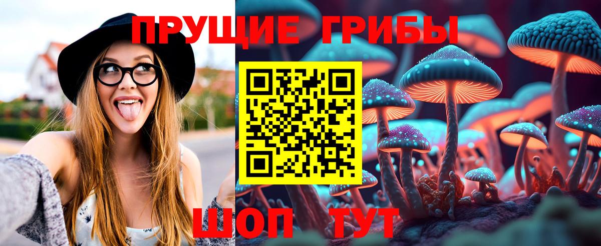 Псилоцибиновые грибы Psilocybine cubensis Шадринск
