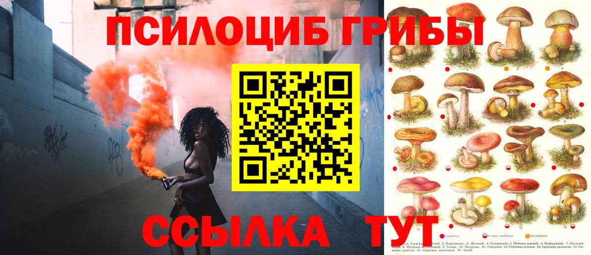 что такое наркотик  Вход с VPN  Шадринск  Псилоцибиновые грибы MAGIC MUSHROOMS 
