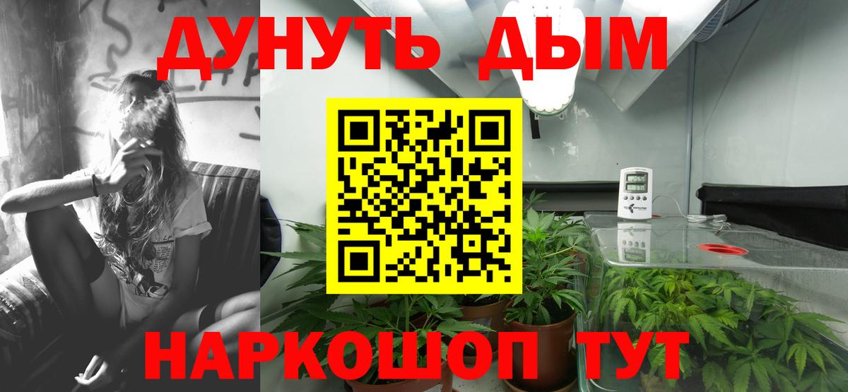 Шишки марихуана Ganja  Вход с VPN  Шишки марихуана гибрид  Каннабис AK-47  Шадринск 